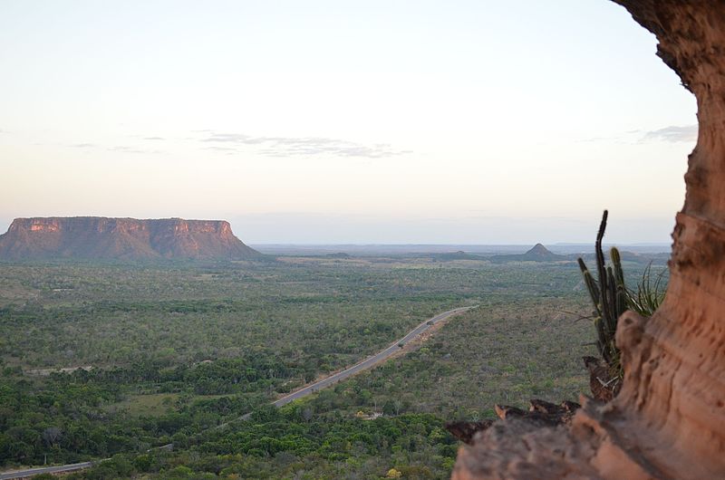 Imagem da chapada dasmesas com vegetação e uma das formações rochosas